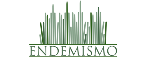 Endemismo-Arte-Oaxaca-Logo