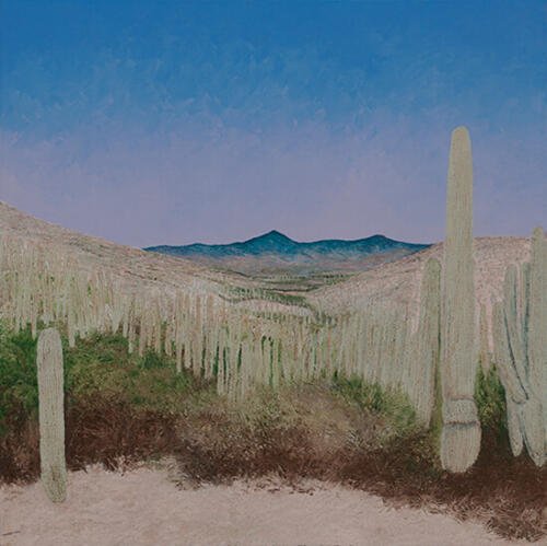 Abelardo López_Cactáceas Tehuacán_Arte_Oaxaca