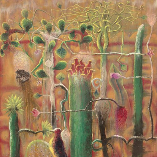 Emiliano López Javier_Desierto Júbilo_Arte_Oaxaca