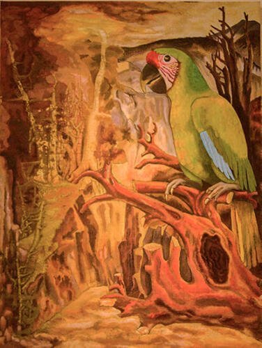 Filemón Santiago_El paso del gato_Arte_Oaxaca