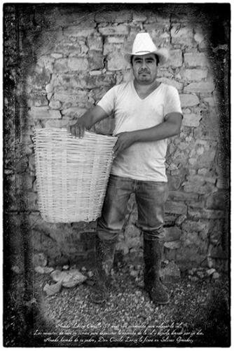 Marcela Taboada_Canasto_Arte_Oaxaca_