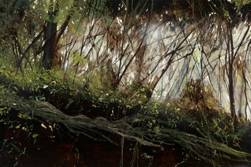 María Rosa Astorga_Apoala a contra luz_Arte_Oaxaca