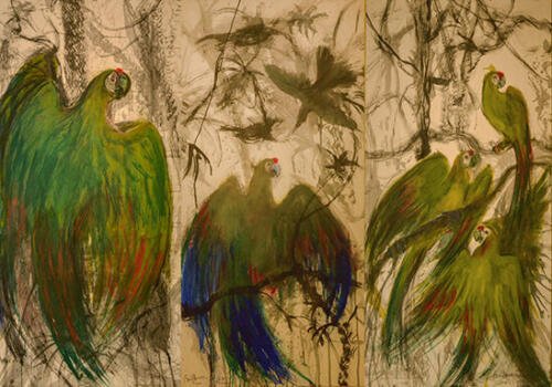 Raúl Herrera_Cortejo amoroso_Arte_Oaxaca
