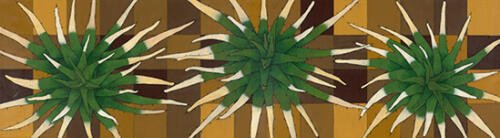 Saúl Castro_Agaves de ixtle_Arte_Oaxaca